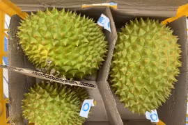 Kim ngạch xuất nhập khẩu Việt Nam - Trung Quốc vượt 100 tỷ USD 
