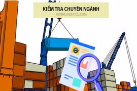 Hàng nhập khẩu dưới 1 triệu đồng sẽ được miễn giấy phép, kiểm tra chuyên ngành?