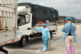 Bộ Công Thương thông tin về việc Trung Quốc tạm dừng nhập khẩu thanh long Việt Nam