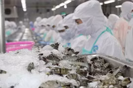 Mỹ áp thuế chống bán phá giá với tôm nhập khẩu từ Việt Nam