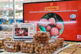 Hàng Việt muốn có mặt ở tất cả các thị trường có FTA với Việt Nam