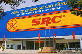 Cao su Sao Vàng bị truy thu, xử phạt gần 1,4 tỷ đồng tiền thuế