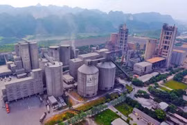Thanh tra Tổng Công ty Xi măng Việt Nam - Vicem và 3 công ty con