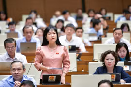 Đại biểu Quốc hội chất vấn về cách giải quyết bài toán kinh tế báo chí
