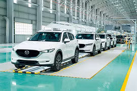 Cố tình trì hoãn đăng ký xe để chờ giảm 50% lệ phí trước bạ ô tô có bị phạt?