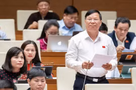 Đề xuất bổ sung quy định về tiêu chí, tiêu chuẩn đầu vào các trường sư phạm 