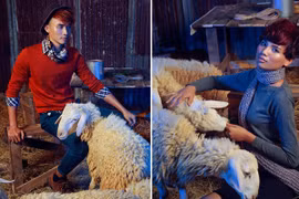 Thí sinh Vietnam Next Top Model ấn tượng giữa bầy cừu