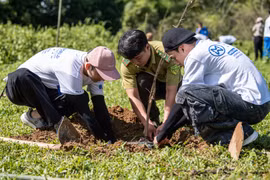 Hoa hậu Ý Nhi và thí sinh "Mr World Vietnam 2024" trồng cây gây rừng