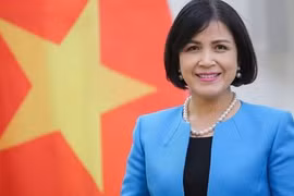 Việt Nam thúc đẩy ASEAN tham gia tích cực tại các tổ chức quốc tế 