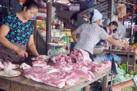 Thực phẩm trong vòng vây chất độc hại