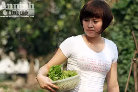 Những vuông rau xanh của ngõ nhỏ, phố nhỏ Hà Nội