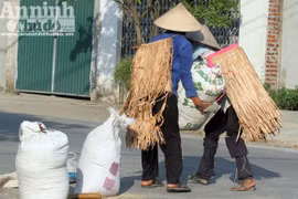 Nắng cháy, nông dân mặc "áo giáp” ra đồng