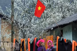 Trải nghiệm cung bậc mùa xuân vùng đá núi