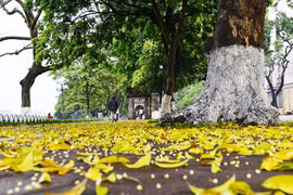 Vỉa hè hôm nay