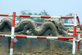 Chém đứt đầu rồng để lấy ngọc quý