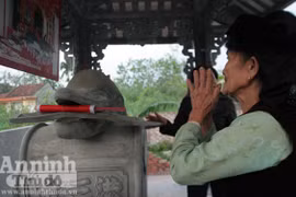 Lạ kỳ cá heo chầu Miếu Đỏ mang dòng chữ lạ trên mình