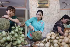 Nâng cấp đội ngũ nhân lực làm du lịch đồng bằng sông Cửu Long