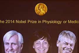 Nobel Y học 2014 dành cho hệ thống định vị sinh học