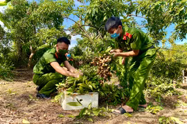 Chiến công... đem thương nhớ
