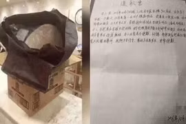 Du khách Trung Quốc ăn cắp bệ ngồi bồn cầu làm... quà lưu niệm