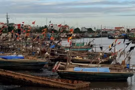 36 nghìn tàu, thuyền về nơi trú ẩn trước bão