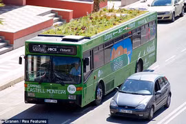 Trồng cây trên xe bus để... chống nóng