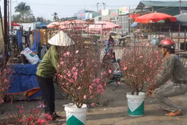 Đánh bạc với... trời