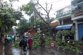 Bình Định: Triển khai các biện pháp ứng phó trước khi bão số 7 đổ bộ