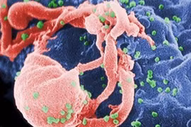 Chữa bệnh AIDS bằng thuốc trị ung thư