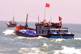 Ảnh minh họa