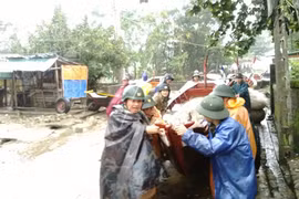 Di dời hàng chục nghìn dân ứng phó với bảo số 10