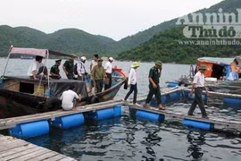 Chấm dứt nuôi trồng thủy sản tại Vũng Rô