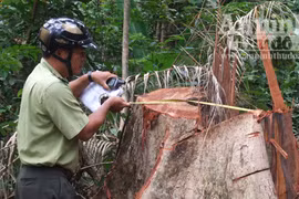 Ngành chức năng “đùn đẩy” trách nhiệm