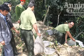 Thả nhiều động vật hoang dã về rừng