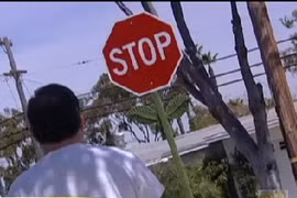 Trang trí biển báo giao thông hình bông hoa