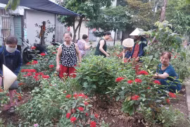 Giữ gìn vệ sinh môi trường trên địa bàn phường Định Công 