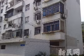 Tự tử, để lại di thư cho... chó