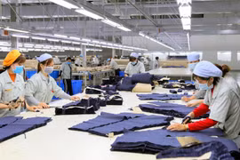 Việt Nam tích cực tham gia tạo xung lực cho phục hồi kinh tế trong APEC