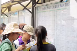 Sinh viên bị lừa khi kiếm việc làm thêm giáp Tết