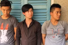Trộm chó, chống trả người truy đuổi bằng súng điện, có được coi là phòng vệ?