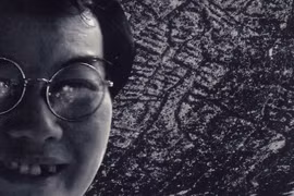 Cánh chim biển không mệt mỏi