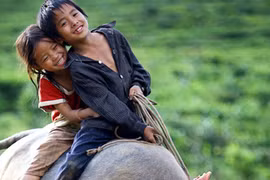 “Việt Nam-Đất nước vì hòa bình”