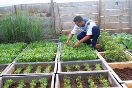 Lính đảo Trường Sa tăng gia cải thiện