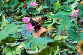 Phê bình văn học: Đừng nhăm nhăm vạch vòi...