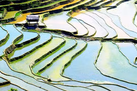 Hoang sơ vẻ đẹp Khao Mang
