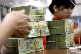 Công khai thông tin hộ kinh doanh nộp thuế khoán