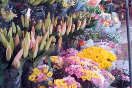 Rộn ràng ngày lễ Tình yêu