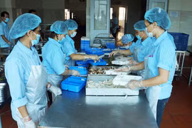 Quản lý chặt chất lượng bếp ăn nhà trường 