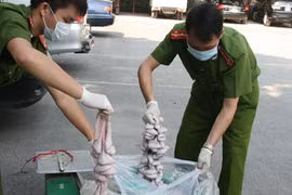 500kg tràng lợn “thối” nhập lậu từ Trung Quốc