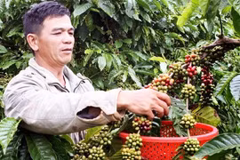 Tiếp sức cho doanh nghiệp